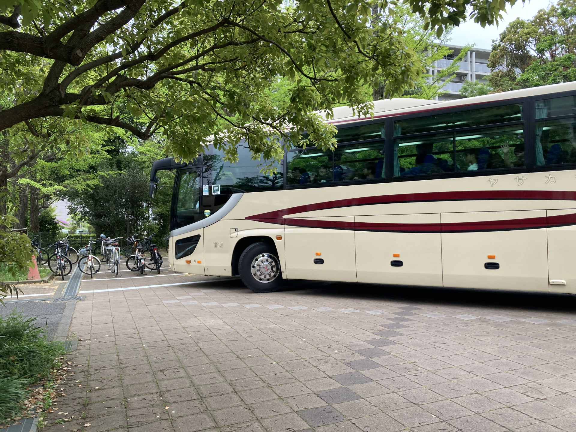 画像 -20250427-235920-a09cdff4